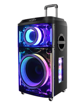 OVPS200H &ndash; Boxă Bluetooth Karaoke 200W OVPS200H фото